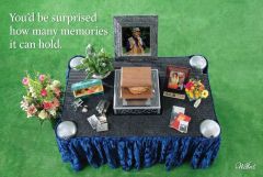 Cremation UV Setup